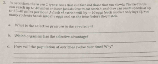 In ostriches, there are 2 types: ones that run fast and those that run slowly. The fast birds 
can reach up to 40 miles an hour Jackals love to eat ostrich, and they can reach speeds of up 
to 35-40 miles per hour. A flock of ostrich will lay ~ 10 eggs (each mother only lays 1), but 
many rodents break into the eggs and eat the fetus before they hatch. 
a. What is the selective pressure in the population? 
_ 
b. Which organism has the selective advantage? 
_ 
c. How will the population of ostriches evoive over time? Why? 
_ 
_ 
_