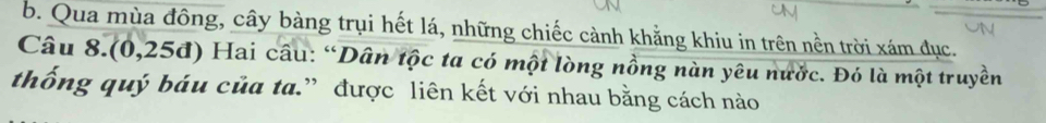 Qua mùa đông, cây bàng trụi hết lá, những chiếc cành khẳng khiu in trên nền trời xám đục.
Câu 8.(0,25đ) Hai câu: “Dân tộc ta có một lòng nồng nàn yêu nước. Đó là một truyền
thống quý báu của ta.” được liên kết với nhau bằng cách nào