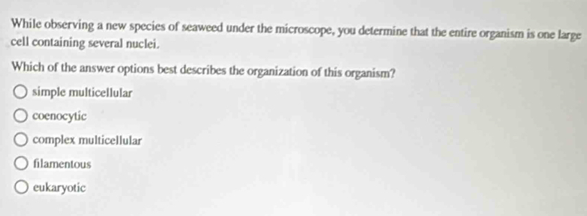 While observing a new species of seaweed under the microscope, you determine that the entire organism is one large
cell containing several nuclei.
Which of the answer options best describes the organization of this organism?
simple multicellular
coenocytic
complex multicellular
filamentous
eukaryotic