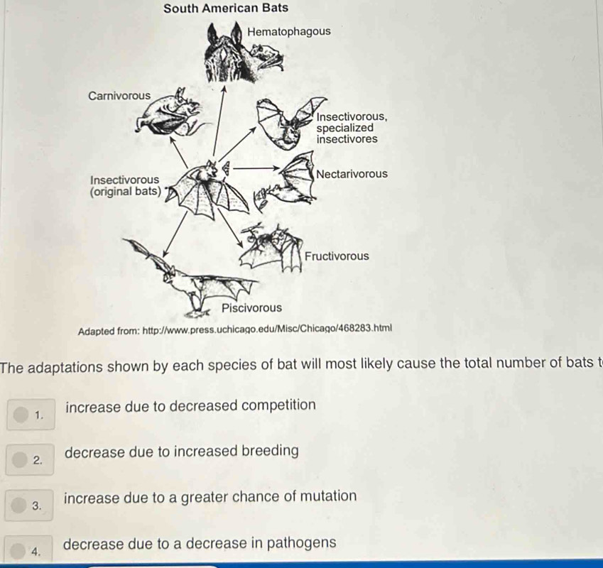 South American Bats 
The adaptations shown by each species of bat will most likely cause the total number of bats t 
1. increase due to decreased competition 
2. decrease due to increased breeding 
3. increase due to a greater chance of mutation 
4. decrease due to a decrease in pathogens