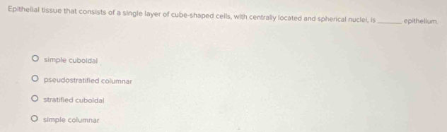 Epithelial tissue that consists of a single layer of cube-shaped cells, with centrally located and spherical nuclei, is_ epithelium.
simple cuboldal
pseudostratified columnar
stratified cuboida
simple columnar