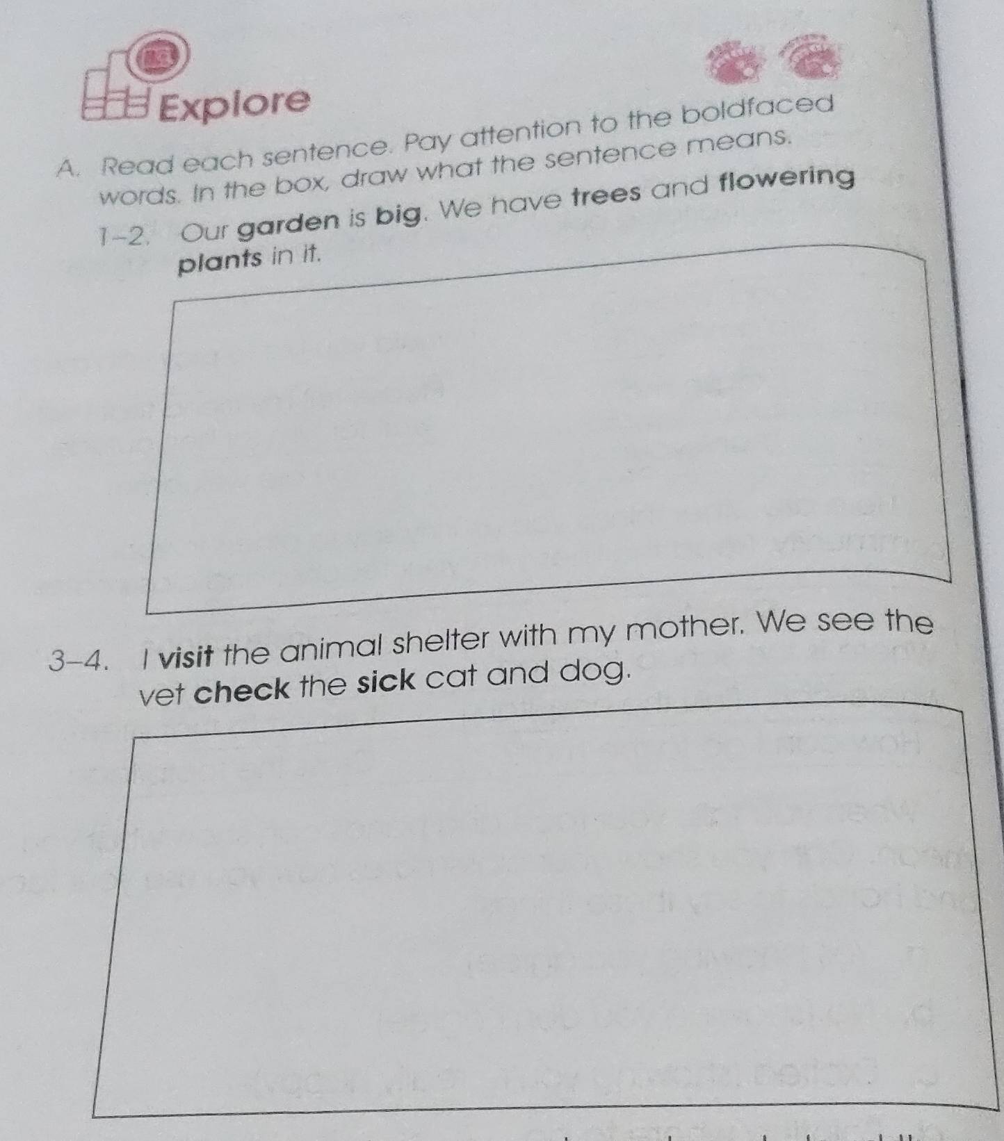 Explore 
A. Read each sentence. Pay attention to the boldfaced 
words. In the box, draw what the sentence means. 
1-2. Our garden is big. We have trees and flowering 
plants in it. 
3-4. I visit the animal shelter with my mother. We see the 
vet check the sick cat and dog.