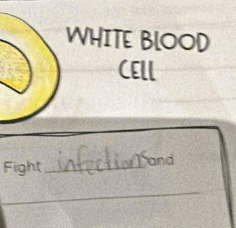 WHITE BLOOD 
CELL 
Fight _and