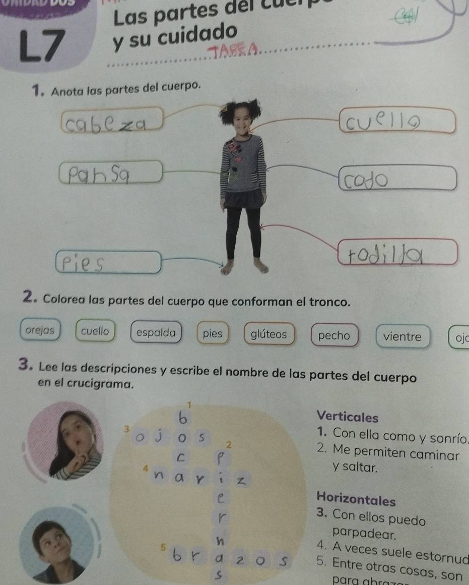 Las partes del cuen
L7 y su cuidado
TASEA.
1. Anota las partes del cuerpo.
2。 Colorea las partes del cuerpo que conforman el tronco.
orejas cuello espalda pies glúteos pecho vientre ojc
3. Lee las descripciones y escribe el nombre de las partes del cuerpo
en el crucigrama.
rticales
Con ella como y sonrío.
Me permiten caminar
saltar.
rizontales
Con ellos puedo
parpadear.
A veces suele estornud
5. Entre otras cosas, son
para ábraz