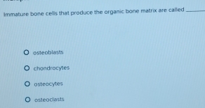 Immature bone cells that produce the organic bone matrix are called_
osteoblasts
chondrocytes
osteacytes
osteoclasts