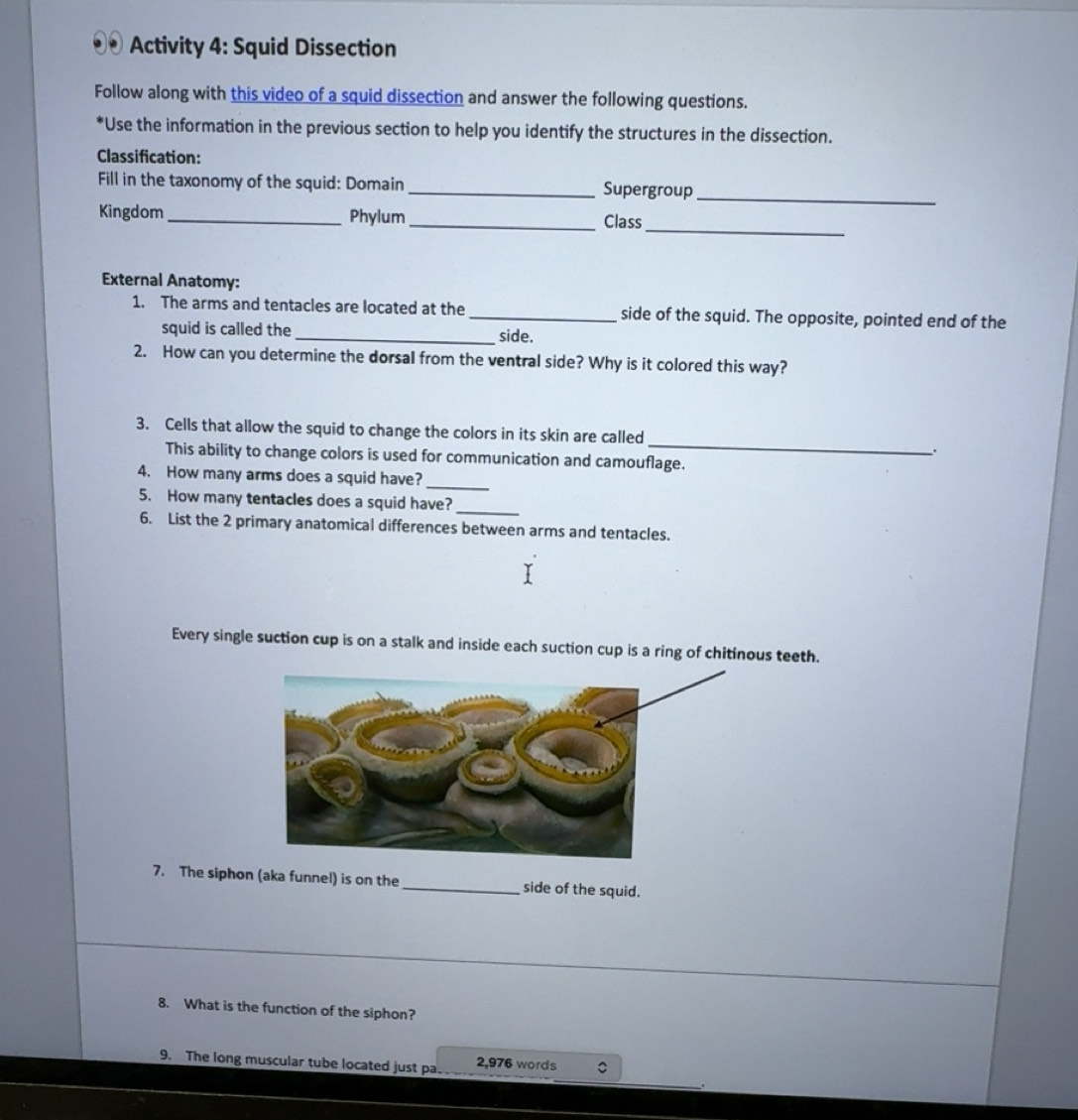 Solved: Activity 4: Squid Dissection Follow along with this video of a ...