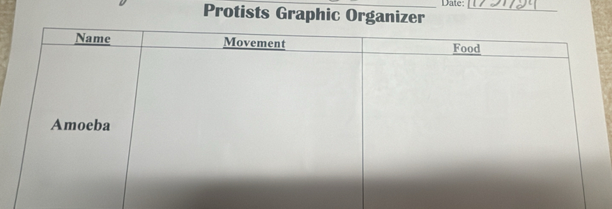 Date: 
Protists Graphic Organizer_