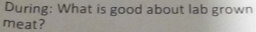 During: What is good about lab grown 
meat?