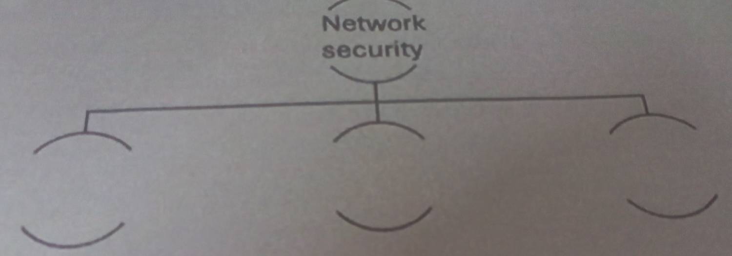 Network 
security