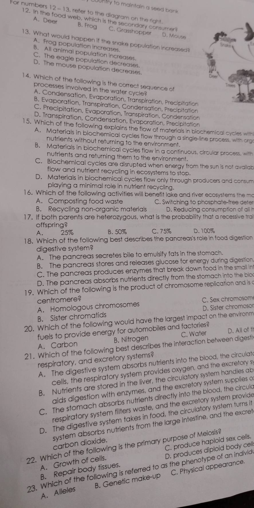 LUUntry to maintain a seed bank
For numbers 12 - 13, refer to the diagram on the right.
12. In the food web, which is the secondary consumer?
A. Deer B. Frog C. Grasshopper D. Mouse
13. What would happen if the snake population increased?

A. Frog population increases.
Sriake
B. All animal population increases.
C. The eagle population decreases.
D. The mouse population decreases.
14. Which of the following is the correct sequence of
processes involved in the water cycle?
A. Condensation, Evaporation, Transpiration, Precipitation
B. Evaporation, Transpiration, Condensation, Precipitation
C. Precipitation, Evaporation, Transpiration, Condensation
D. Transpiration, Condensation, Evaporation, Precipitation
15. Which of the following explains the flow of materials in biochemical cycles with
A. Materials in biochemical cycles flow through a single-line process, with orga
nutrients without returning to the environment.
B. Materials in biochemical cycles flow in a continuous, circular process, with
nutrients and returning them to the environment.
C. Biochemical cycles are disrupted when energy from the sun is not availab
flow and nutrient recycling in ecosystems to stop.
D. Materials in biochemical cycles flow only through producers and consum
playing a minimal role in nutrient recycling.
16. Which of the following activities will benefit lake and river ecosystems the mo
A. Composting food waste C. Switching to phosphate-free deter
B. Recycling non-organic materials D. Reducing consumption of all h
17. If both parents are heterozygous, what is the probability that a recessive trai
offspring?
A. 25% B. 50% C. 75% D. 100%
18. Which of the following best describes the pancreas's role in food digestion
digestive system?
A. The pancreas secretes bile to emulsify fats in the stomach.
B. The pancreas stores and releases glucose for energy during digestion
C. The pancreas produces enzymes that break down food in the small int
D. The pancreas absorbs nutrients directly from the stomach into the blod
19. Which of the following is the product of chromosome replication and is a
centromere?
A. Homologous chromosomes C. Sex chromosom
B. Sister chromatids D. Sister chromosor
20. Which of the following would have the largest impact on the environm
fuels to provide energy for automobiles and factories?
A. Carbon B. Nitrogen C. Water D. All of th
21. Which of the following best describes the interaction between digestiv
respiratory, and excretory systems?
A. The digestive system absorbs nutrients into the blood, the circulato
cells, the respiratory system provides oxygen, and the excretory sy
B. Nutrients are stored in the liver, the circulatory system handles ab
aids digestion with enzymes, and the excretory system supplies o
C. The stomach absorbs nutrients directly into the blood, the circuld
respiratory system filters waste, and the excretory system provide
D. The digestive system takes in food, the circulatory system turns it
system absorbs nutrients from the large intestine, and the excret
carbon dioxide.
22. Which of the following is the primary purpose of Meiosis?
A. Growth of cells. C. produce haploid sex cells.
B. Repair body tissues. D. produces diploid body cell
23. Which of the following is referred to as the phenotype of an individ
A. Alleles B. Genetic make-up C. Physical appearance.