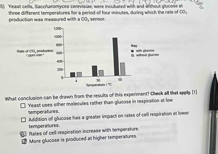 Yeast cells, Saccharomyces cerevisiae, were incubated with and without glucose at
three different temperatures for a period of four minutes, during which the rate of CO_2
production was measured with a CO_2 sensor.
What conclusion can be drawn from the results of this experiment? Check all that apply. [1]
Yeast uses other molecules rather than glucose in respiration at low
temperatures.
Addition of glucose has a greater impact on rates of cell respiration at lower
temperatures.
1 Rates of cell respiration increase with temperature.
More glucose is produced at higher temperatures.