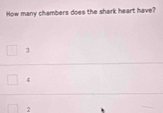 How many chambers does the shark heart have?
3
4
2