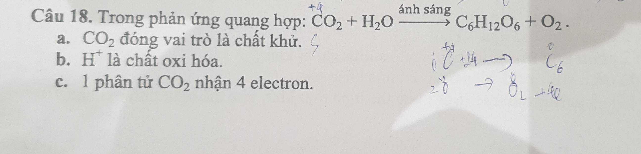 Trong phản ứng quang hợp: CO2 + H2O ánh sáng C6H12O6 + O2 · 
a. CO_2 đóng vai trò là chất khử. 
b. H là chất oxi hóa. 
c. 1 phân tử CO_2 nhận 4 electron.