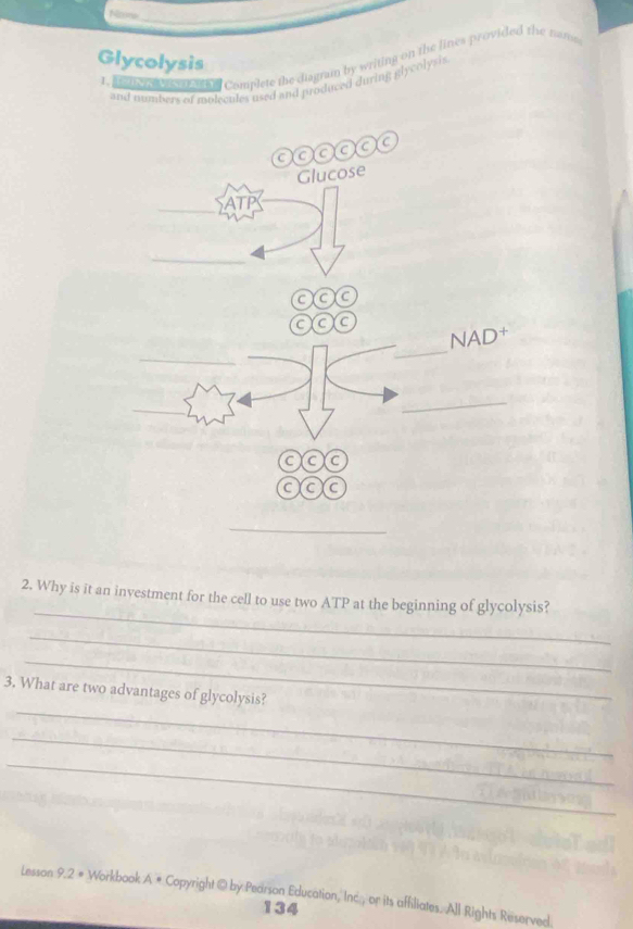 Nom 
_ 
Glycolysis 
L a o he Complete the diagram by writing on the lines provided the nams 
and numbers of molecules used and produced during glycolysis 
_ 
2. Why is it an investment for the cell to use two ATP at the beginning of glycolysis? 
_ 
_ 
_ 
3. What are two advantages of glycolysis? 
_ 
_ 
Lesson 9.2 # Workbook A # Copyright @ by Pearson Education, Inc., or its affiliates. All Rights Reserved 
134