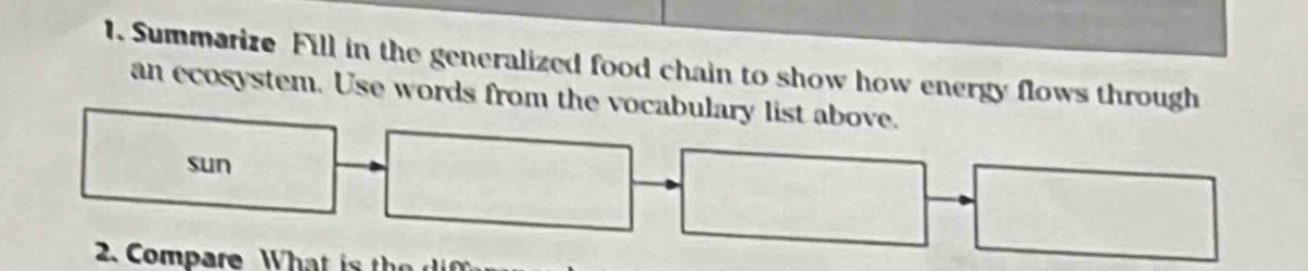 Summarize Fill in the generalized food chain to show how energy flows through 
an ecosystem. Use words from the vocabulary list above. 
sun 
2 Compare Wha t i t