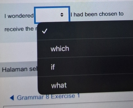 wondered ; I had been chosen to 
receive the r 
which 
Halaman seb if 
what 
Grammar 8 Exercise 1