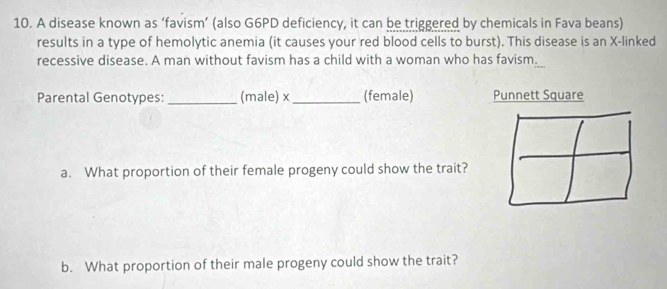 A disease known as ‘favism’ (also G6PD deficiency, it can be triggered by chemicals in Fava beans) 
results in a type of hemolytic anemia (it causes your red blood cells to burst). This disease is an X -linked 
recessive disease. A man without favism has a child with a woman who has favism. 
Parental Genotypes: _(male) x_ (female) Punnett Square 
a. What proportion of their female progeny could show the trait? 
b. What proportion of their male progeny could show the trait?