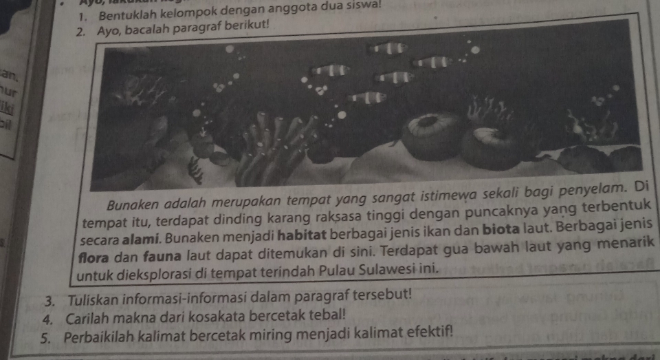 Bentuklah kelompok dengan anggota dua siswa! 
2. Ayo, bacalah paragraf berikut! 
an. 
ur 
iki 
bil 
Bunaken adalah merupakan tempat yang sangat istimew 
tempat itu, terdapat dinding karang raksasa tinggi dengan puncaknya yang terbentuk 
secara alami. Bunaken menjadi habitat berbagai jenis ikan dan biota laut. Berbagai jenis 
flora dan fauna laut dapat ditemukan di sini. Terdapat gua bawah laut yang menarik 
untuk dieksplorasi di tempat terindah Pulau Sulawesi ini. 
3. Tuliskan informasi-informasi dalam paragraf tersebut! 
4. Carilah makna dari kosakata bercetak tebal! 
5. Perbaikilah kalimat bercetak miring menjadi kalimat efektif!