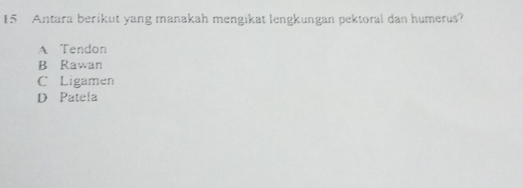 Antara berikut yang manakah mengikat lengkungan pektoral dan humerus?
A Tendon
B Rawan
C Ligamen
D Patela