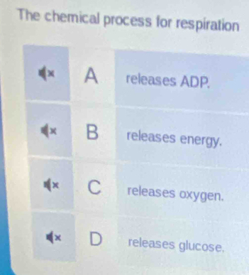 The chemical process for respiration