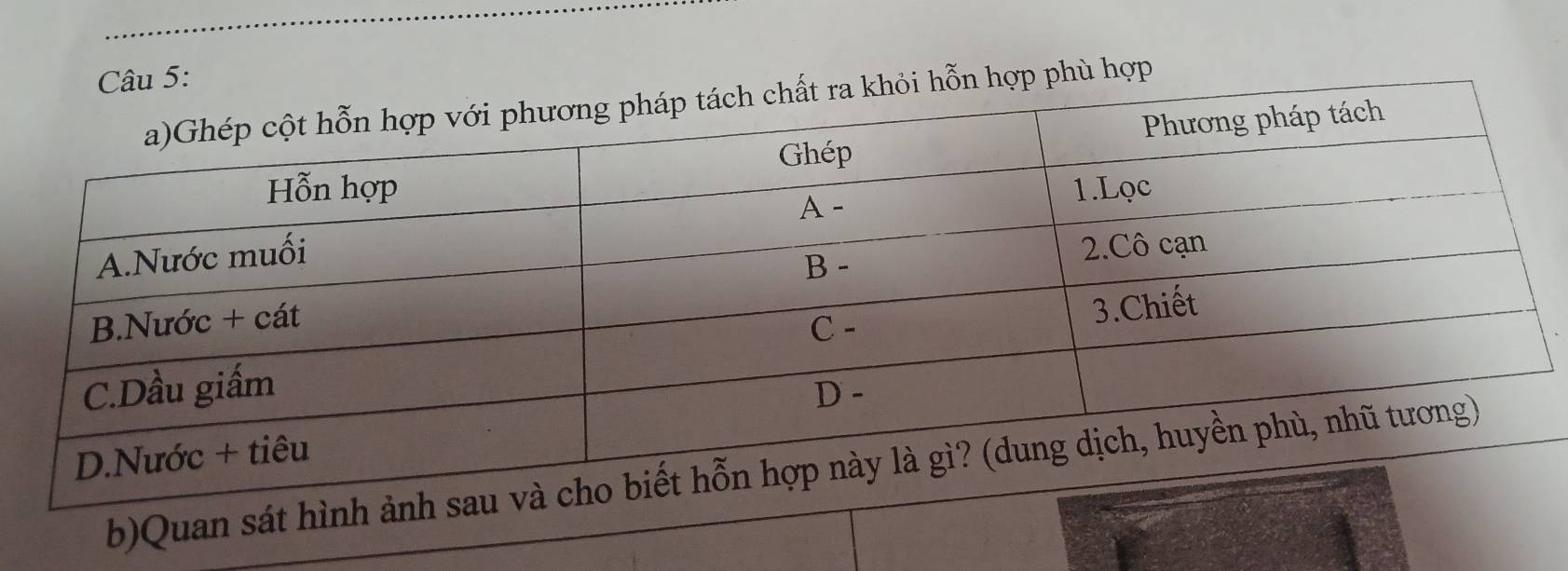 phù hợp 
b)Quan sát h