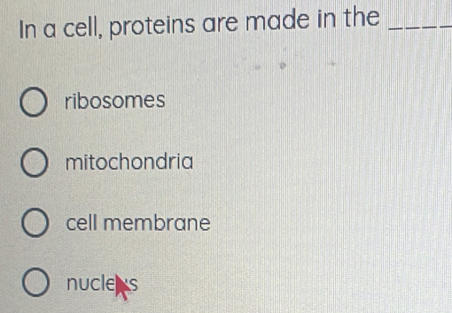 In a cell, proteins are made in the_
ribosomes
mitochondria
cell membrane
nuclers