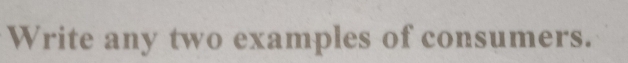 Write any two examples of consumers.