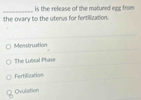 is the release of the matured egg from
the ovary to the uterus for fertilization.
Menstruation
The Luteal Phase
Fertilization
Ovulation