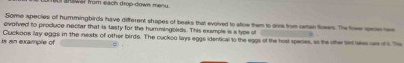 et answer from each drop-down menu . 
Some species of hummingbirds have different shapes of beaks that evolved to allow them to drink from certain fowers. The fower speces tee 
evolved to produce nectar that is tasty for the hummingbirds. This example is a type of 
Cuckoos lay eggs in the nests of other birds. The cuckoo lays eggs identical to the eggs of the host species, so the other bird takes care of it. The 
is an example of