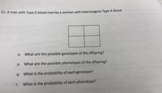 A man with Type O blood marries a woman with heterozygous Type A blood. 
o. What are the possible genotypes of the offspring? 
p. What are the possible phenotypes of the offspring? 
. What is the probability of each genotype? 
r. What is the probability of each phenotype?