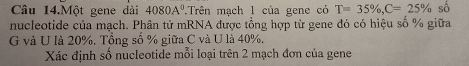 Câu 14.Một gene dài 4080A^0.Trên mạch 1 của gene có T=35% , C=25% số 
nucleotide của mạch. Phân tử mRNA được tổng hợp từ gene đó có hiệu số % giữa 
G và U là 20%. Tổng số % giữa C và U là 40%. 
Xác định số nucleotide mỗi loại trên 2 mạch đơn của gene