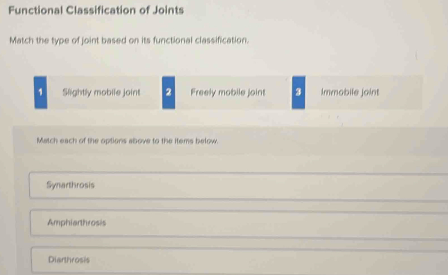 Functional Classification of Joints
Match the type of joint based on its functional classification.
1 Slightly mobile joint 2 Freely mobile joint 3 Immobile joint
Match each of the options above to the items below.
Synarthrosis
Amphiarthrosis
Diarthrosis