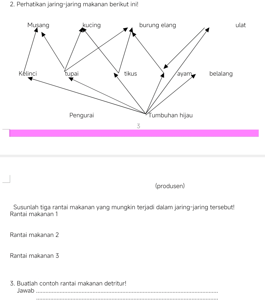 Perhatikan jaring-jaring makanan berikut ini! 
(produsen) 
Susunlah tiga rantai makanan yang mungkin terjadi dalam jaring-jaring tersebut! 
Rantai makanan 1
Rantai makanan 2
Rantai makanan 3
3. Buatlah contoh rantai makanan detritur! 
Jawab_ 
_