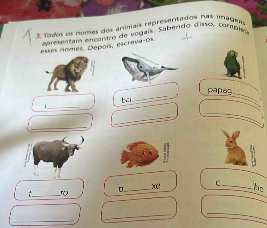 Todos os nomes dos animais representados nas imagens 
apresentam encontro de vogais. Sabendo disso, complete 
esses nomes. Depois, escreva-os. 
papag 
bal 
_ 
_ 
_ 
_ 
_ 
_ 
1 
C 
xe _lho 
_t 
ro 
_p 
_ 
_ 
_