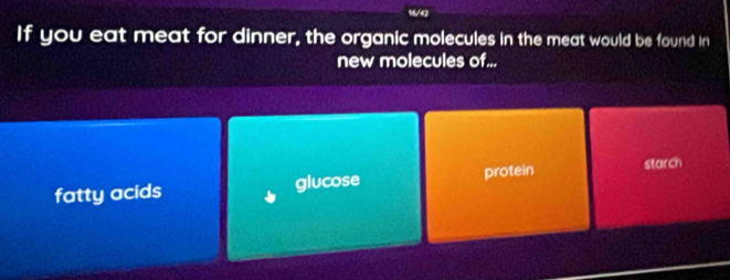 16/42
If you eat meat for dinner, the organic molecules in the meat would be found in
new molecules of...
fatty acids glucose protein starch