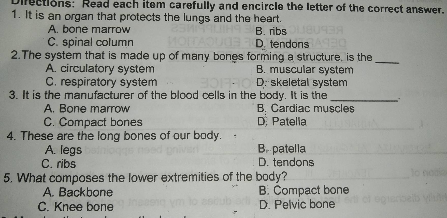 Directions: Read each item carefully and encircle the letter of the correct answer.
1. It is an organ that protects the lungs and the heart.
A. bone marrow B. ribs
C. spinal column D. tendons
2.The system that is made up of many bones forming a structure, is the_
A. circulatory system B. muscular system
C. respiratory system D: skeletal system
3. It is the manufacturer of the blood cells in the body. It is the_
A. Bone marrow B. Cardiac muscles
C. Compact bones D. Patella
4. These are the long bones of our body.
A. legs B. patella
C. ribs D. tendons
5. What composes the lower extremities of the body?
A. Backbone B. Compact bone
C. Knee bone D. Pelvic bone