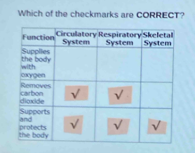 Which of the checkmarks are CORRECT?