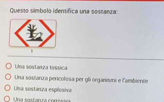 Questo simbolo identifica una sostanza:
1
Una sostanza tossica
Una sostanza pericolosa per gli organismi e l’ambiente
Una sostanza esplosiva
Una sostanza corrosiva