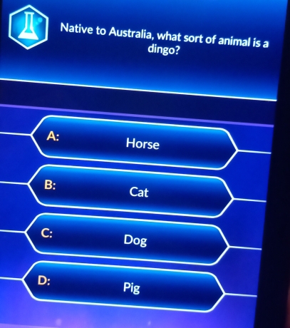 Native to Australia, what sort of animal is a
dingo?
A: Horse
B: Cat
C: Dog
D: Pig