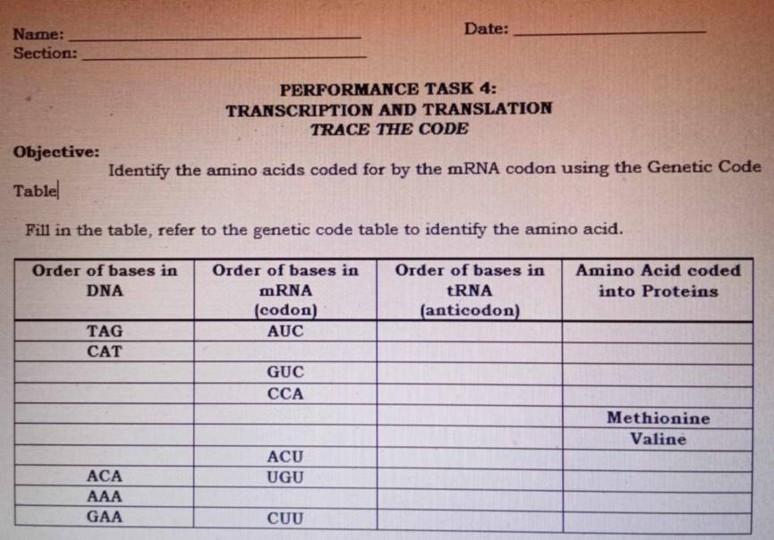 Name:_ Date:_ 
Section:_ 
PERFORMANCE TASK 4: 
TRANSCRIPTION AND TRANSLATION 
TRACE THE CODE 
Objective: 
Identify the amino acids coded for by the mRNA codon using the Genetic Code 
Table| 
Fill in the table, refer to the genetic code table to identify the amino acid.