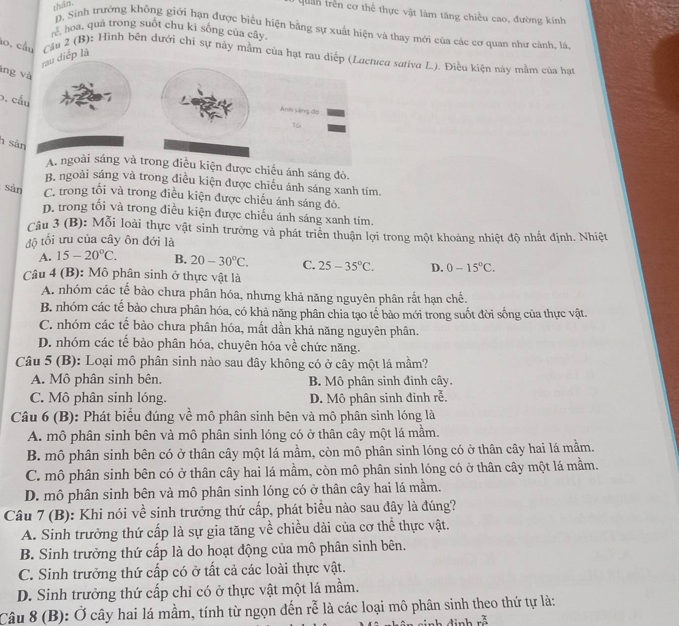 thân.
Quân trên cơ thể thực vật làm tăng chiều cao, đường kính
D. Sinh trưởng không giới hạn được biểu hiện bằng sự xuất hiện và thay mới của các cơ quan như cảnh, lá.
rễ, hoa, quả trong suốt chu kì sống của cây.
áo, cấu Cầu 2 (B): Hình bên dưới chỉ sự náy mầm của hạt rau diếp (Lactuca sativa L.). Điều kiện này mầm của hạt
rau diếp là
ing và
b, cấu
Ánh sáng đò
T6i
n sản
A. ngoài sáng và trong điều kiện được chiếu ánh sáng đỏ.
B. ngoài sáng và trong điều kiện được chiếu ánh sáng xanh tím.
sản C. trong tối và trong điều kiện được chiếu ánh sáng đỏ.
D. trong tối và trong điều kiện được chiếu ánh sáng xanh tím.
Câu 3 (B): Mỗi loài thực vật sinh trưởng và phát triển thuận lợi trong một khoảng nhiệt độ nhất định. Nhiệt
độ tối ưu của cây ôn đới là
A. 15-20°C.
B. 20-30°C.
C. 25-35°C. D. 0-15°C.
Câu 4 (B): Mô phân sinh ở thực vật là
A. nhóm các tế bào chưa phân hóa, nhưng khả năng nguyên phân rất hạn chế.
B. nhóm các tế bào chưa phân hóa, có khả năng phân chia tạo tế bào mới trong suốt đời sống của thực vật.
C. nhóm các tế bào chưa phân hóa, mất dần khả năng nguyên phân.
D. nhóm các tế bào phân hóa, chuyên hóa về chức năng.
Câu 5 (B): Loại mô phân sinh nào sau đây không có ở cây một lá mầm?
A. Mô phân sinh bên. B. Mô phân sinh đỉnh cây.
C. Mô phân sinh lóng. D. Mô phân sinh đỉnh rễ.
Câu 6 (B): Phát biểu đúng về mô phân sinh bên và mô phân sinh lóng là
A. mô phân sinh bên và mô phân sinh lóng có ở thân cây một lá mầm.
B. mô phân sinh bên có ở thân cây một lá mầm, còn mô phân sinh lóng có ở thân cây hai lá mầm.
C. mô phân sinh bên có ở thân cây hai lá mầm, còn mô phân sinh lóng có ở thân cây một lá mầm.
D. mô phân sinh bên và mô phân sinh lóng có ở thân cây hai lá mầm.
Câu 7 (B): Khi nói về sinh trưởng thứ cấp, phát biểu nào sau đây là đúng?
A. Sinh trưởng thứ cấp là sự gia tăng về chiều dài của cơ thể thực vật.
B. Sinh trưởng thứ cấp là do hoạt động của mô phân sinh bên.
C. Sinh trưởng thứ cấp có ở tất cả các loài thực vật.
D. Sinh trưởng thứ cấp chỉ có ở thực vật một lá mầm.
Câu 8 (B): Ở cây hai lá mầm, tính từ ngọn đến rễ là các loại mô phân sinh theo thứ tự là:
đinh rễ