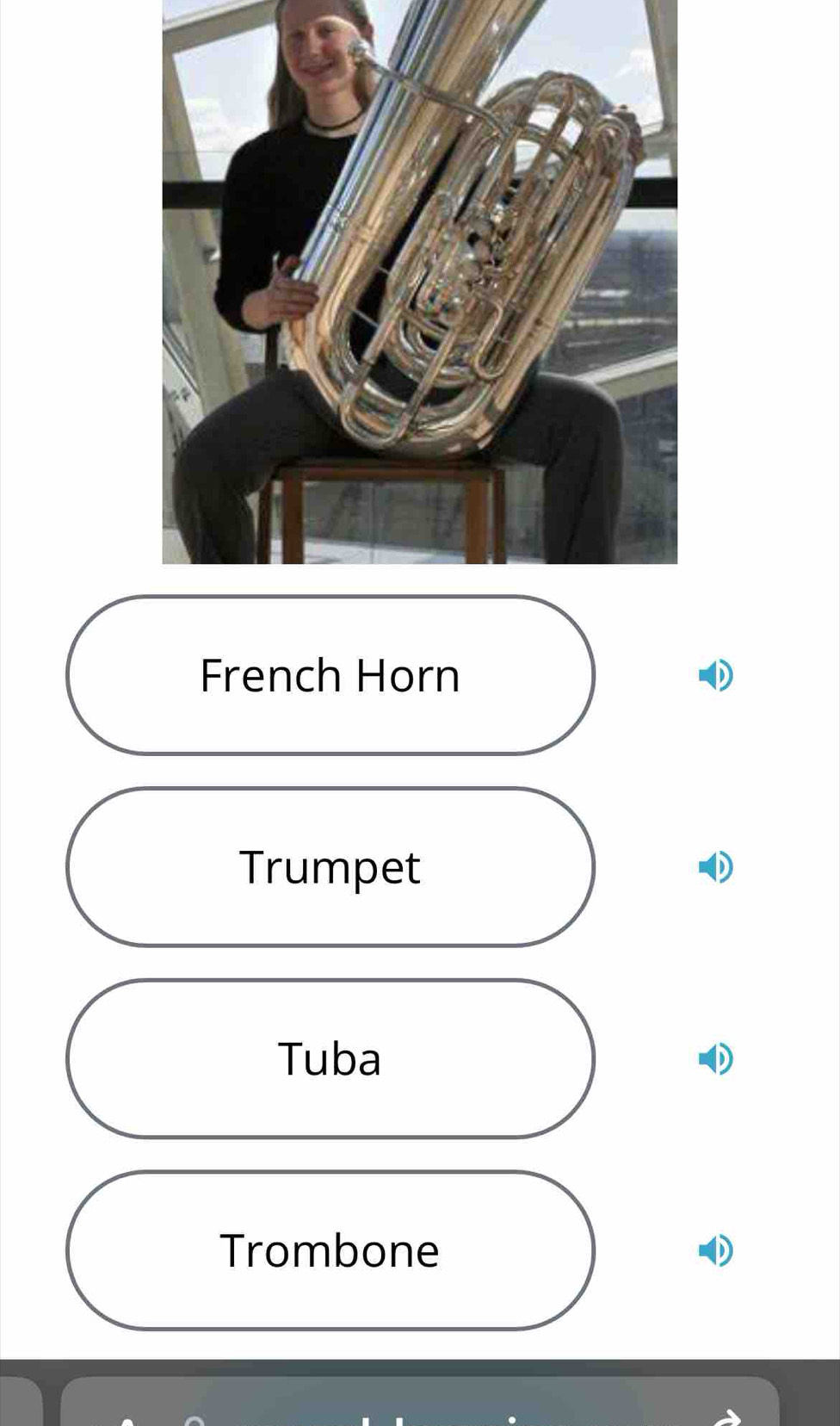 French Horn
Trumpet
Tuba
Trombone