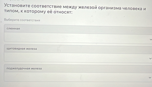 Установите соответствие между железой организма человека и
τиποм, κ Κоторому её относят:
Выберите сoответствия
слюонная
ШИтовидная железа
поджелудочная железа