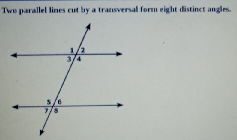 'Two parallel lines cut by a transversal form eight distinct angles.