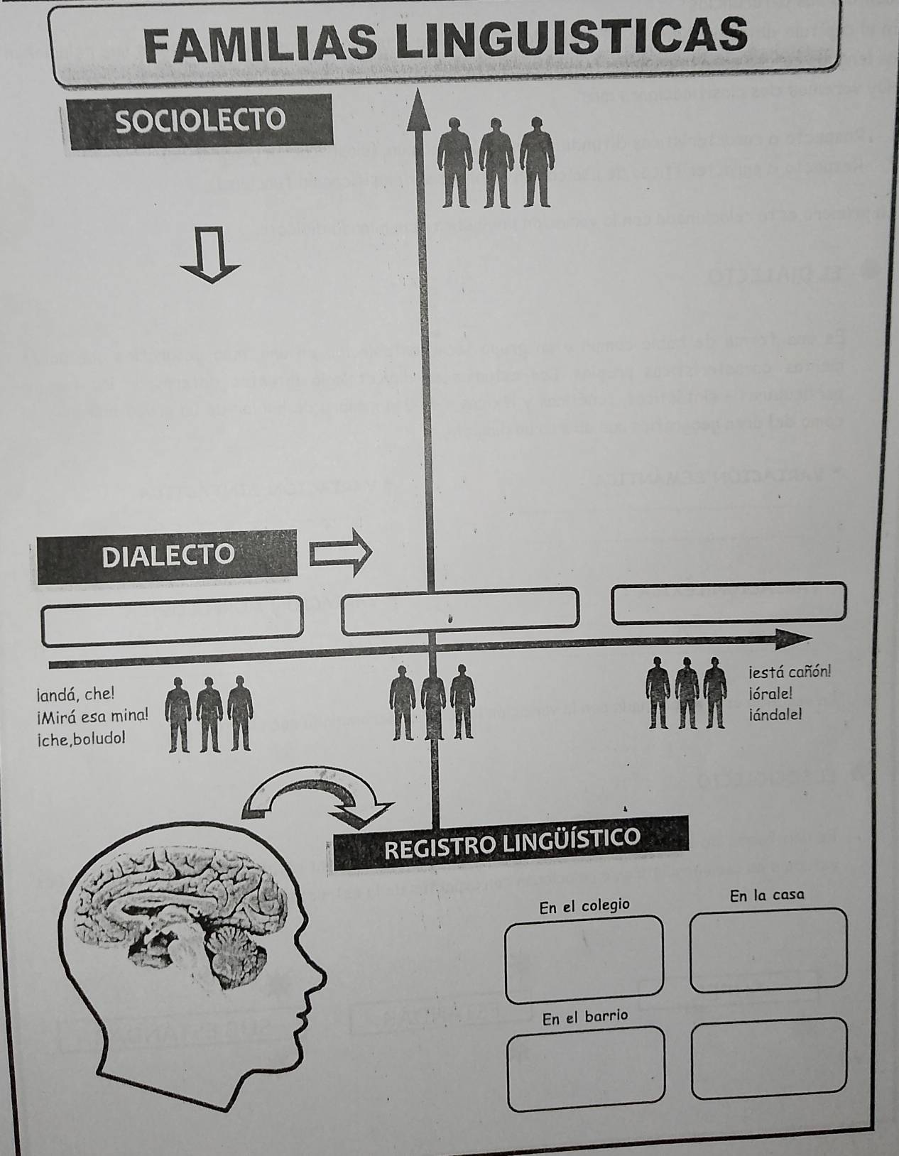 FAMILIAS LINGUISTICAS 
SOCIOLECTO 
DIALECTO 
iestá cañón! 
iandá, che! iórale! 
iMirá esa mina! iándalel 
iche,boludo! 
REGISTRO LINGÜÍSTICO 
En el colegio 
En la casa 
En el barrio