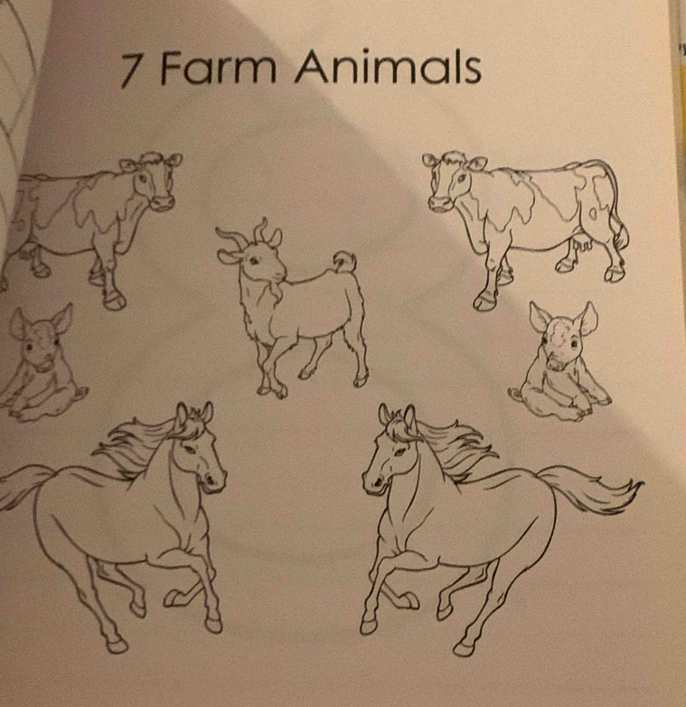 7 Farm Animals