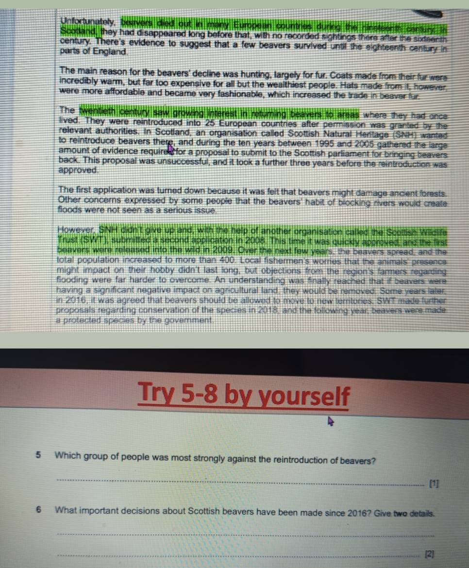 Unfortunately, beavers died out in many European countries during the ninsteenth century. In
Scotland, they had disappeared long before that, with no recorded sightings there after the sideenth
century. There's evidence to suggest that a few beavers survived until the eighteenth century in
parts of England
The main reason for the beavers' decline was hunting, largely for fur. Coats made from their fur were
incredibly warm, but far too expensive for all but the wealthiest people. Hats made from it, however,
were more affordable and became very fashionable, which increased the trade in beaver fur
The twentieth century saw growing interest in returing beavers to areas where they had once
lived. They were reintroduced into 25 European countries after permission was granted by the
relevant authorities. In Scotland, an organisation called Scottish Natural Hentage (SNH) wanted
to reintroduce beavers there, and during the ten years between 1995 and 2005 gathered the large
amount of evidence required for a proposal to submit to the Scottish parliament for bringing beavers
back. This proposal was unsuccessful, and it took a further three years before the reintroduction was
approved.
The first application was turned down because it was felt that beavers might damage ancient forests.
Other concerns expressed by some people that the beavers' habit of blocking rivers would create
floods were not seen as a serious issue
However, SNH didn't give up and, with the help of another organisation called the Scottish Wildlife
Trust (SWT), submitted a second application in 2008. This time it was quickly approved, and the first
beavers were released into the wild in 2009. Over the next few years, the beavers spread, and the
total population increased to more than 400. Local fishermen's worries that the animals' presence
might impact on their hobby didn't last long, but objections from the region's farmers regarding
flooding were far harder to overcome. An understanding was finally reached that if beavers were
having a significant negative impact on agricultural land, they would be removed. Some years later,
in 2016, it was agreed that beavers should be allowed to move to new territories. SWT made further
proposals regarding conservation of the species in 2018, and the following year, beavers were made
a protected species by the govemment
Try 5-8 by yourself
5 Which group of people was most strongly against the reintroduction of beavers?
_
[1]
6 What important decisions about Scottish beavers have been made since 2016? Give two details.
_
_[2