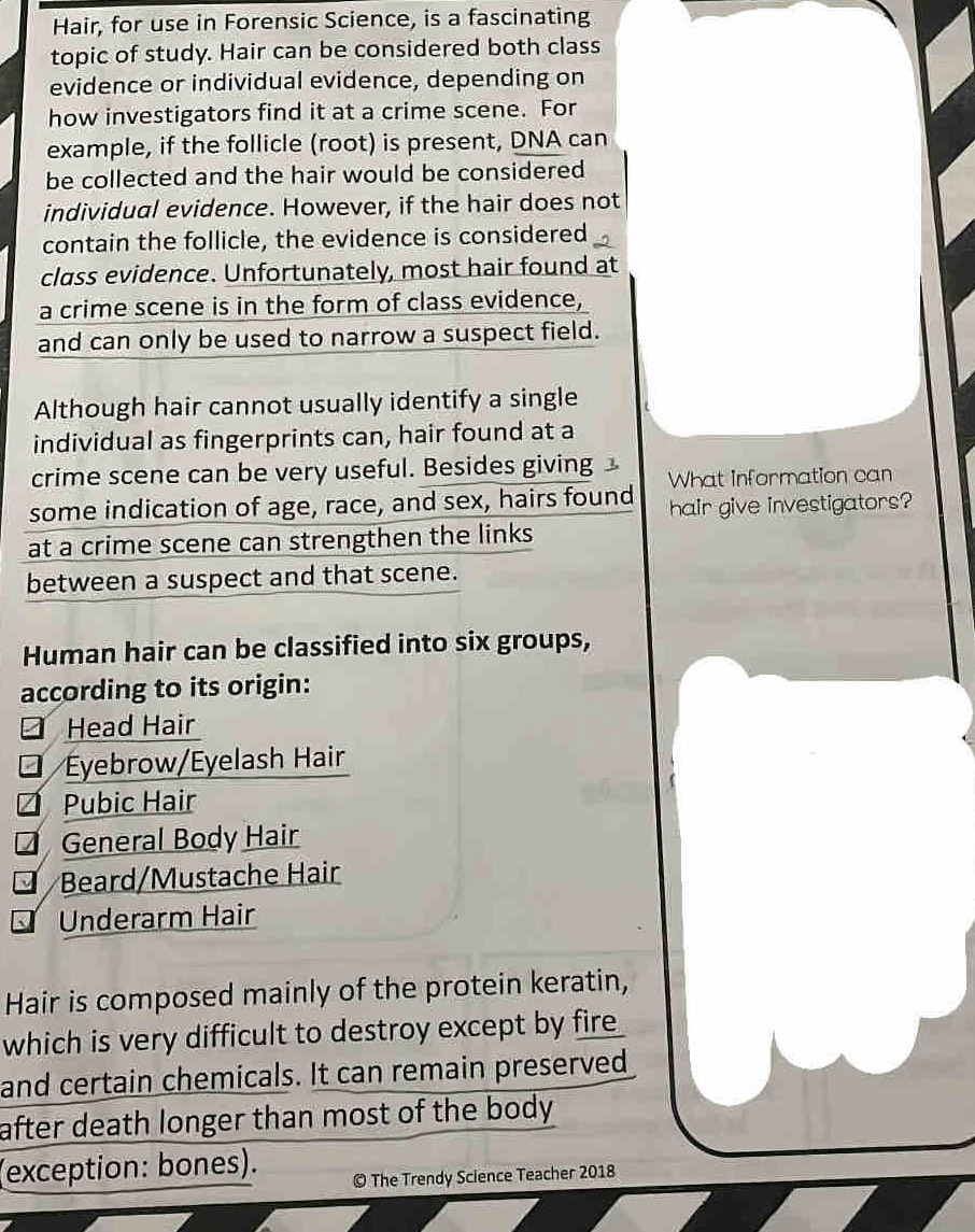 Hair, for use in Forensic Science, is a fascinating 
topic of study. Hair can be considered both class 
evidence or individual evidence, depending on 
how investigators find it at a crime scene. For 
example, if the follicle (root) is present, DNA can 
be collected and the hair would be considered 
individual evidence. However, if the hair does not 
contain the follicle, the evidence is considered 
class evidence. Unfortunately, most hair found at 
a crime scene is in the form of class evidence, 
and can only be used to narrow a suspect field. 
Although hair cannot usually identify a single 
individual as fingerprints can, hair found at a 
crime scene can be very useful. Besides giving 
some indication of age, race, and sex, hairs found What information can 
hair give investigators? 
at a crime scene can strengthen the links 
between a suspect and that scene. 
Human hair can be classified into six groups, 
according to its origin: 
Head Hair 
Éyebrow/Eyelash Hair 
4 Pubic Hair 
4 General Body Hair 
* Beard/Mustache Hair 
Underarm Hair 
Hair is composed mainly of the protein keratin, 
which is very difficult to destroy except by fire 
and certain chemicals. It can remain preserved 
after death longer than most of the body 
(exception: bones). 
© The Trendy Science Teacher 2018