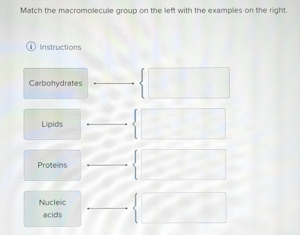 Match the macromolecule group on the left with the examples on the right. 
Instructions 
Carbohydrates 
Lipids 
Proteins 
Nucleic 
acids