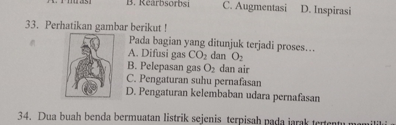 B. Rearbsorbsi C. Augmentasi D. Inspirasi
33. Perhatikan gambar berikut !
Pada bagian yang ditunjuk terjadi proses...
A. Difusi gas CO_2 dan O_2
B. Pelepasan gas O_2 dan air
C. Pengaturan suhu pernafasan
D. Pengaturan kelembaban udara pernafasan
34. Dua buah benda bermuatan listrik sejenis terpisah pada jarak tertentu